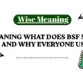 BSF Meaning What Does BSF Mean in Text and Why Everyone Uses It