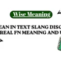 FN Mean in Text Slang Discover the Real FN Meaning and Uses