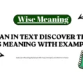IMS Mean in Text Discover the Real IMS Meaning With Examples