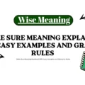 Make Sure Meaning Explained With Easy Examples and Grammar Rules