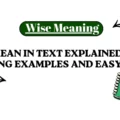 OAT Mean in Text Explained With Meaning Examples and Easy Usage