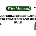 Plural of Erratum Explained With Meaning Examples and Grammar Rule