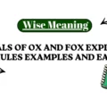 Plurals of Ox and Fox Explained With Rules Examples and Easy Tips