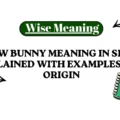 Snow Bunny Meaning in Slang Explained With Examples and Origin