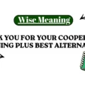 Thank You for Your Cooperation Meaning Plus Best Alternatives
