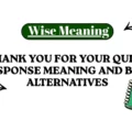 Thank You for Your Quick Response Meaning and Best Alternatives