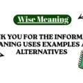 Thank You for the Information Meaning Uses Examples and Alternatives