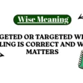 Up to Date or Up-to-Date Which One Is Correct With Easy Examples (1)