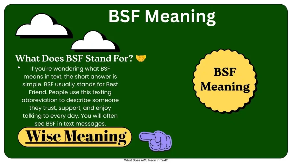 What Does BSF Stand For_ 🤝