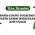 What Does Count Your Days Mean Complete Guide With Examples and Usage
