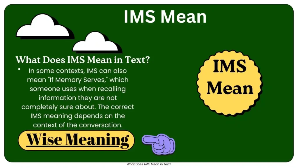 What Does IMS Mean in Text