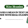 What Does S Mean in Text 2026 Best Guide With Real Examples