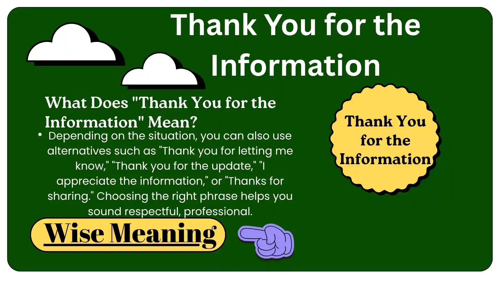 What Does _Thank You for the Information_ Mean