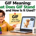 GIF Meaning_ What Does GIF Stand For and How Is It Used