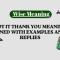 Got It Thank You Meaning Explained With Examples and Best Replies