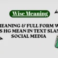 HG Meaning & Full Form What Does HG Mean in Text Slang & Social Media