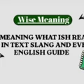 Ish Meaning What Ish Really Means in Text Slang and Everyday English Guide