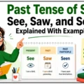 Past Tense of See_ See, Saw, and Seen Explained With Examples