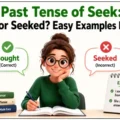 Past Tense of Seek_ Sought or Seeked_ Easy Examples Explained