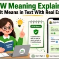SFW Meaning Explained What It Means in Text With Real Examples