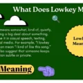 What Does Lowkey Mean_ 🔍