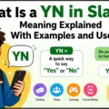 What Is a YN in Slang Meaning Explained With Examples and Uses