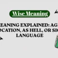 ASL Meaning Explained_ Age, Sex, Location, As Hell, or Sign Language