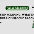 Bussin Meaning_ What Does _Bussin_ Mean in Slang