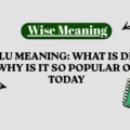 Delulu Meaning_ What Is Delulu and Why Is It So Popular Online Today