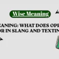 Opp Meaning_ What Does Opp Stand For in Slang and Texting