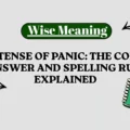 Past Tense of Panic_ The Correct Answer and Spelling Rule Explained