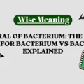 Plural of Bacterium_ The Easy Rule for Bacterium vs Bacteria Explained