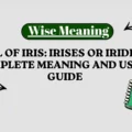 Plural of Iris_ Irises or Irides_ The Complete Meaning and Usage Guide