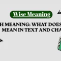 SMTH Meaning_ What Does SMTH Mean in Text and Chat