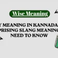 Slay Meaning in Kannada_ The Surprising Slang Meaning You Need to Know
