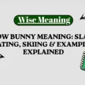 Snow Bunny Meaning_ Slang, Dating, Skiing & Examples Explained