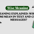TMI Meaning Explained_ What Does TMI Mean in Text and Chat Messages