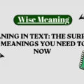 TS Meaning in Text_ The Surprising Slang Meanings You Need to Know Now