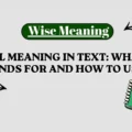 TTYL Meaning in Text_ What It Stands For and How to Use It