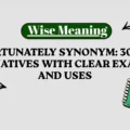 Unfortunately Synonym_ 30+ Best Alternatives With Clear Examples and Uses