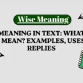 WTW Meaning in Text_ What Does WTW Mean_ Examples, Uses and Replies