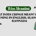What Does Cringe Mean_ Cringe Meaning in English, Slang, and Kannada