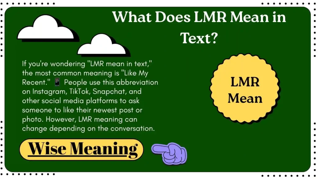 What Does LMR Mean in Text