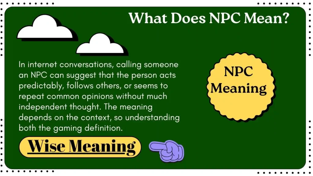 What Does NPC Mean