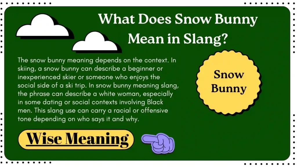 What Does Snow Bunny Mean in Slang