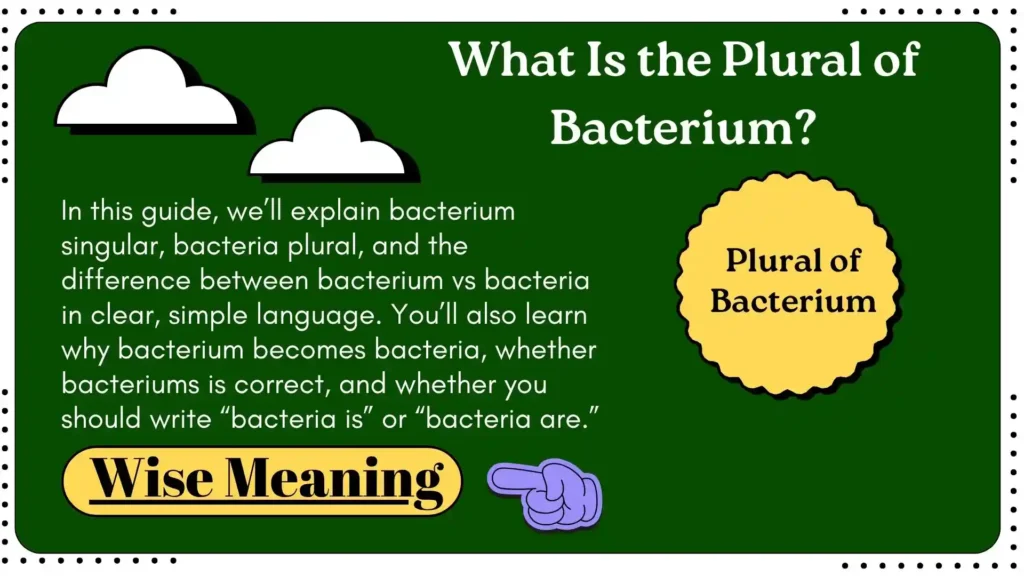 What Is the Plural of Bacterium