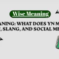 YN Meaning_ What Does YN Mean in Text, Slang, and Social Media