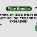 HN Meaning in Text: What Does HN Mean? Hell No, Yes and More Explained