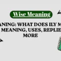 ILY Meaning_ What Does ILY Mean in Text_ Meaning, Uses, Replies and More