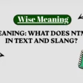 NTM Meaning_ What Does NTM Mean in Text and Slang